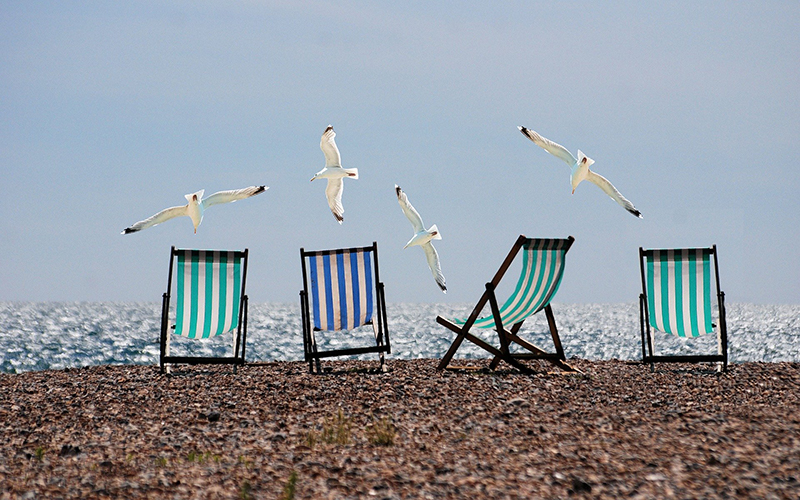 Summer deck chairs and gulls
